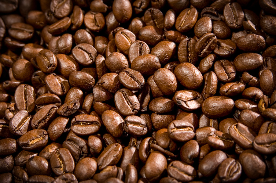 Close-up Photo of Coffee Beans in Tilt Shift Lens 